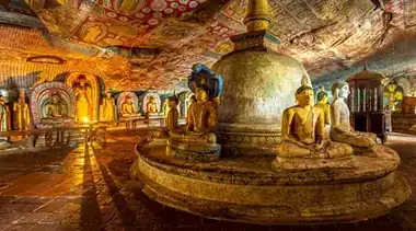 Sri Lanka Kultur, Tee & Wildtiere: 8-Tage Dambulla bis Sinharaja Tour
