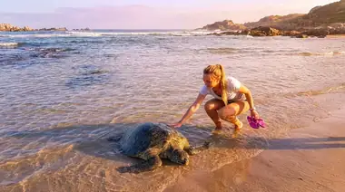 Sri Lanka Großes Erbe & Strand: 11-Tage Negombo bis Hikkaduwa Entdecker