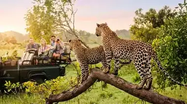 Sri Lanka Kultur & Strand: 9-Tage Negombo bis Hikkaduwa Entdecker