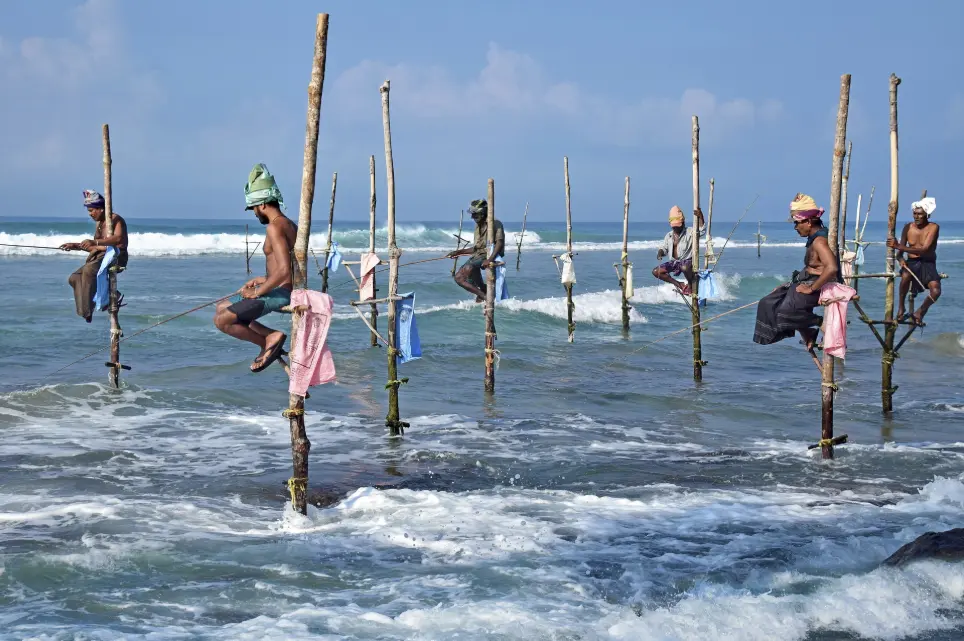 Traditional stilt fishermen in Sri Lanka
